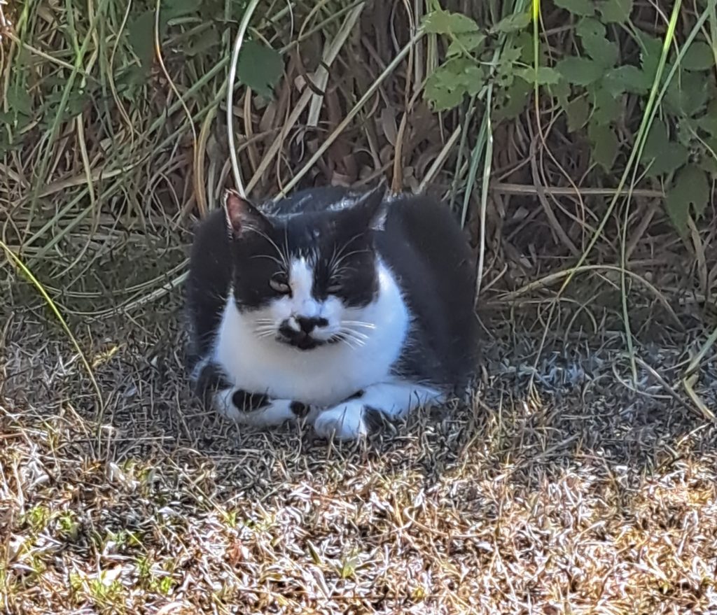 L’attribut alt de cette image est vide, son nom de fichier est 20240828_103054-1024x879.jpg.